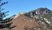 Trail Walking Castellane - Thyrs : sommet du Robion - Photo 5