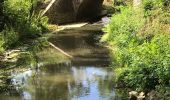 Excursión Senderismo Ruffigné - 15.07.2019 - RUFFIGNE à ST AUBIN DES CHÂTEAUX sud - Photo 4