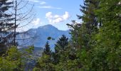 Trail Walking Laval-en-Belledonne - PETITE RANDONNEE AU DEPART DU PONT DE LA BETTA  - Photo 6