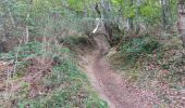 Tour Wandern Tarascon-sur-Ariège - Tour de la pique de Tarrascon - Photo 2