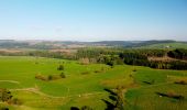 Tour Wandern Beauraing - Balade à Froidfontaine - Beauraing - Photo 3