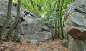 Tour Wandern Chamarande - Lardy - Le Lièvre d'Or - Photo 8