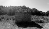 Randonnée Marche Laure-Minervois - LAURE MINERVOIS - Le sentier des Capitelles - Photo 10