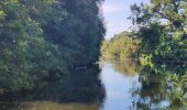 Excursión Senderismo Jemeppe-sur-Sambre - Bois des masures, longée de la Petite-Sambre - Photo 2