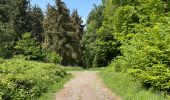 Trail Walking Noroy-sur-Ourcq - en Forêt de Retz_93_05_2022_le Bois de Cresnes - Photo 11