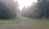 Tour Elektrofahrrad Saint-Clément - sortie vtt  - Photo 10