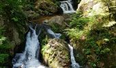 Excursión Senderismo Le Tholy - les cascades - Photo 2