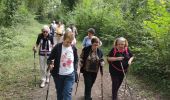 Trail Walking Baudreix - BAUDREIX RS - Photo 2