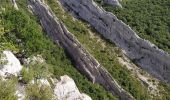 Trail Walking Plan-d'Aups-Sainte-Baume - plan d'aups ste baume - Photo 1
