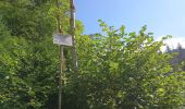 Tour Wandern Wegscheid - FucksfelsenBelacker - Photo 1