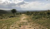 Trail On foot Noto - Sentiero Naturalistico - Photo 2