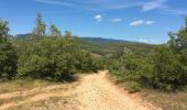 Trail Walking Banon - Le Largue 2 - Photo 1