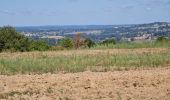 Tocht Stappen Jourgnac - puy de banneix  - Photo 2