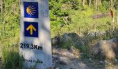 Tocht Stappen Molinaseca - El Acebo Ponferrada - Photo 3