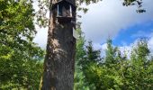 Trail Walking Urmatt - Lutzelhouse - sentier des géants - Photo 15
