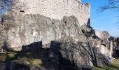 Tour Wandern Dieffenthal - Dieffenthal - Photo 1