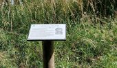 Trail Walking Ciney - Chevetogne 280622 - Photo 17