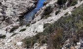 Excursión Senderismo Marsella - Callelongue les trois arches - Photo 1