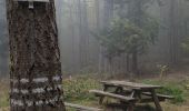 Tocht Stappen Rosheim - rando chercheurs d or  fischhutte - Photo 12