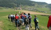 Tour Zu Fuß Frauenstein - Pulst-Sörg-Lorenziberg-Runde - Photo 2