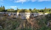 Tocht Stappen Les Rousses - Bief de la Chaille - Photo 1