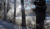 Tocht Stappen Clelles - Les Faisses du Gėant - Photo 2