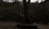 Tour Wandern Chéronnac - moulin du pont - Photo 3