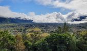 Tour Wandern La Plaine-des-Palmistes - Tour du Piton des songes - Photo 1