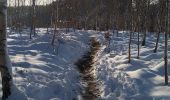 Tocht Stappen Malmedy - Tro Maret-les Six Hetres-Bernister - Photo 10