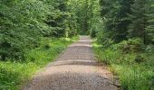 Trail Walking Bad Peterstal-Griesbach - Buhlbachsee & Lotharpfad - Photo 13