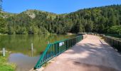 Trail Walking Orbey - Circuit des 2 lacs : lac du Forlet et lac Vert - Photo 13