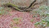 Randonnée Marche Vauchassis - Balade Bois de Maître Jacques  - Photo 2