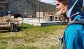 Tour Wandern Zicavo - Corse - AR de Basseta vers Assinau jusqu'au crêtes  - Photo 3
