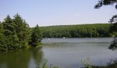 Excursión A pie okres Topoľčany - Náučný chodník Považský Inovec - Photo 6