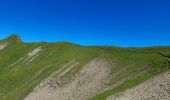 Trail Walking La Clusaz - ARAVIS: LES CONFINS - LAC DE TARDEVANT - POINTE DE TARDEVANT - Photo 9