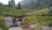 Tour Wandern Urbeis - Les deux lacs - Photo 14
