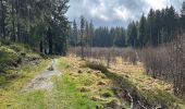 Tocht Stappen Monschau - Rando Eifel des jonquilles narcisses 18,3 - Photo 9