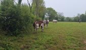 Trail Walking Le Mesnil-Simon - Le Mesnil Simon - Photo 7
