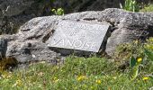Trail Walking Pralognan-la-Vanoise - Pralognan - lac blanc  - Photo 5