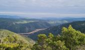 Trail Walking Bormes-les-Mimosas - Chartreuse de la Verne - Photo 10