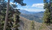 Trail Walking Seyne - SEYNES . LA CABANE DU SERPENT O N  - Photo 10