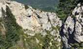 Tour Wandern Salvezines - Le Caunil. Maison forestière par Puylaurens  - Photo 2