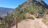 Trail Walking Hermigua - Ibo Alvaro - Vallehermoso - Photo 17