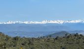 Trail Walking Saint-Raphaël - Cap Roux et grues depuis Belle-Barbe - Photo 14