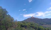 Tour Wandern Port-Vendres - les batteries . collioure . fort sant elme . port vendres . cap gros - Photo 20