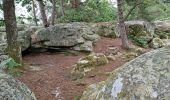 Tocht Stappen Fontainebleau - Bourron-Marlotte sentier Denecourt 11 - Photo 1