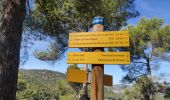 Trail Walking Auriol - les Encanaux  - Photo 4