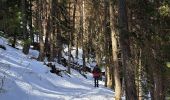 Tour Schneeschuhwandern Méolans-Revel - EMBRUN JOUR 5 : Valon du Lavercq - Photo 11