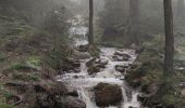 Randonnée Marche Malmedy - Cascade de Bayehon  - Photo 5