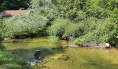 Trail Walking Doucier - Le Moulin du Hérisson - Doucier le long du lac Chambly - Photo 4